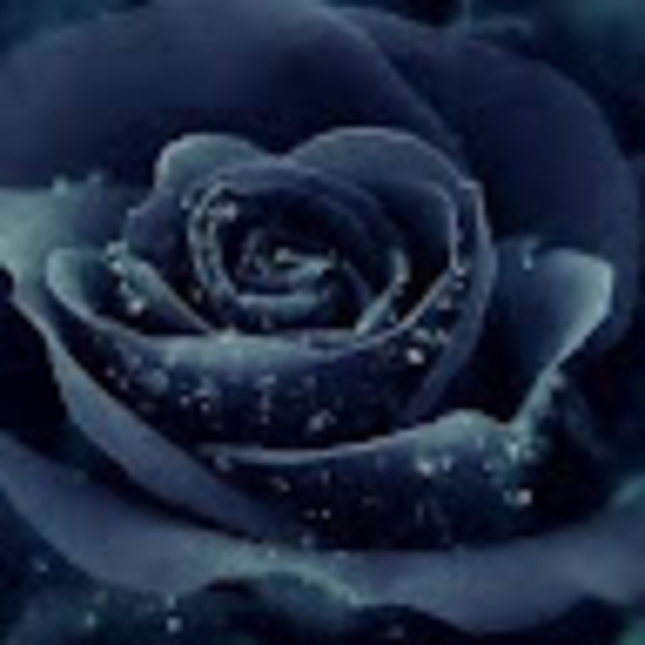 anapastrana2